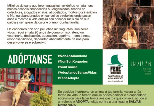 O Concello de Fene e a asociación INDICAN emprenden a campaña de concienciación “As vidas non se compran” sobre a tenza responsable de cans e a prevención do seu abandono